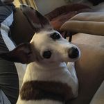 Therese Haley Burgwald - @thereseburgwald - Instagram