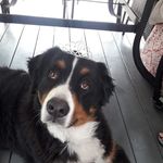 Therese Hamel - @therese.hamel.718 - Instagram