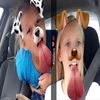 Therese Hebert - @theresehebert - TikTok