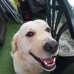 Therese Hermant - @theresehermant - Instagram