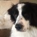 Therese Hess - Facebook