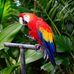 Therese Hill - Facebook