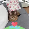 Therese Hill - @therese.hill42 - TikTok