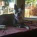 Therese Morgan Hoff - Facebook