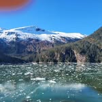 Therese Hunter Collins - @therese.h.collins - Instagram