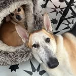 Therese Joyce - @therese_m_joyce - Instagram