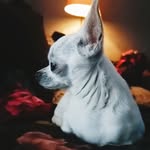 Thérèse Kaiser - @frau.therese.kaiser - Instagram