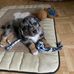 Therese Kaiser - Facebook