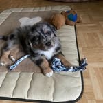 Therese Kaiser - @theresekaiser36 - Instagram