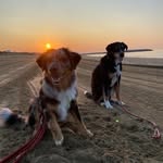 Therese Kaiser - @thesi_kaiser - Instagram