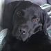 Therese Keller - Facebook