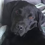 Therese Keller - @therese.keller1966 - Instagram