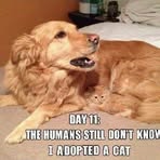 Therese Lancaster - Facebook