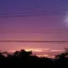 Therese Lee - @2144227140 - TikTok