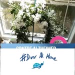 Marie Thérèse Lefebvre - @mariethereselefebvre - Instagram