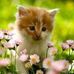 Marie Therese Lefebvre - Facebook
