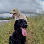 Therese Mannion - @therese.mannion - Instagram