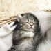 Therese Marcel - Facebook