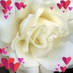 Therese Meyer - @theresemeyer4 - Instagram