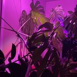 Therese Meyer - @trsemeyer - Instagram