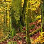 Therese Meyer - @therese.meyer.520 - Instagram