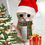 Therese Michaela Abletia - Facebook
