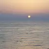 Therese O'brien - @therese.obrien - TikTok