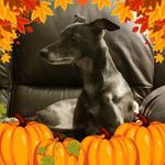 Therese Powers - @tpowers1062 - Instagram