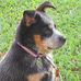 Therese Robbins - Facebook