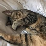 Therese Stanley - @_t_h_e_r_e_s_e__ - Instagram