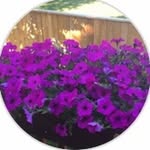 Therese Turner - @terese.turner.11 - Instagram