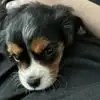 thereseturner75 - @therese7368 - TikTok
