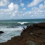 Therese Webb - @tjweb - Instagram