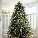 Therese White - @real_xmas_trees_ - Instagram