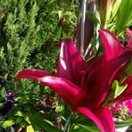 Therese Winterberger - Facebook