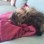 Therese Young - @theresemyoung - Instagram