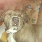Theron Clay Harter - @theronchart - Instagram