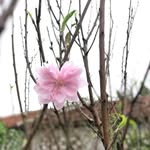 Cà Thị Chung - @thichungc - Instagram
