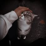 Thi Sơn - Facebook