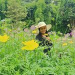 Thida Pov - @thida5195 - Instagram
