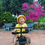 Thiên Trường - @thientruong157 - Instagram