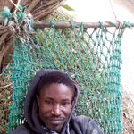 Thierno Sall - @thierno.sall.14855 - Instagram