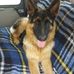 Thierry Nicolas - Facebook