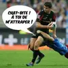 Thierry Nicolas - @thierry.nicolas5 - TikTok