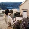 thierryraymond57 - @thierryraymond57 - TikTok