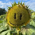 Thierry Robert - @thierry.robert.104 - Instagram