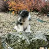 thierryrobert759 - @thierryrobert759 - TikTok