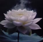 Thiet Tran - Facebook