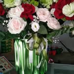 Thieu Giang - @thieu6093 - Instagram