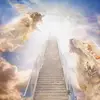 Thin Lizzy - @thin.lizzy55 - TikTok